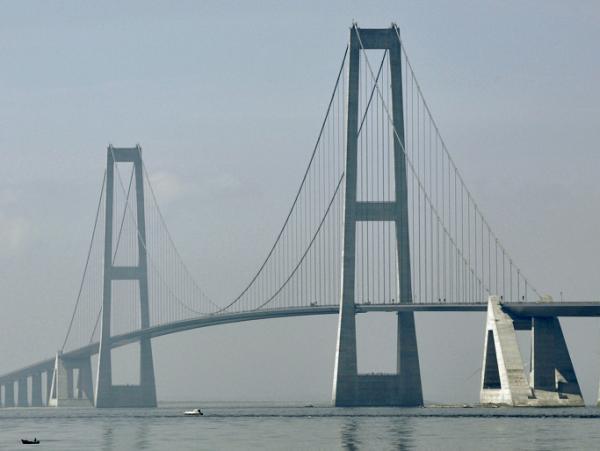 Amazing Bridges
